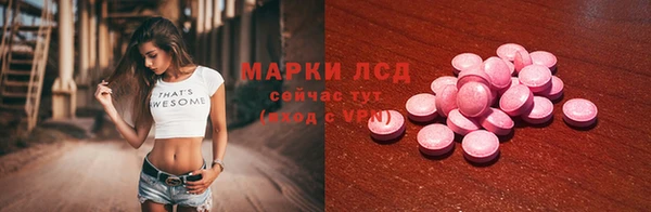 PSILOCYBIN Алзамай