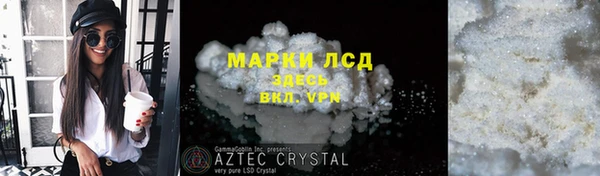 PSILOCYBIN Алзамай