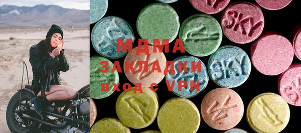 PSILOCYBIN Алзамай
