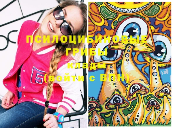 PSILOCYBIN Алзамай