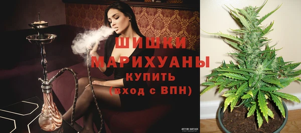 PSILOCYBIN Алзамай