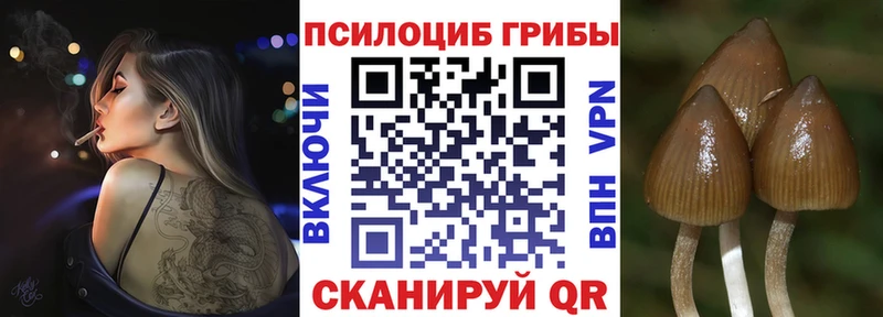 где найти   Сорочинск  ОМГ ОМГ tor  Псилоцибиновые грибы GOLDEN TEACHER 